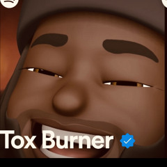 Tox Burner