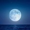 Muna Mudi ✨️ Moon 🌕✨️