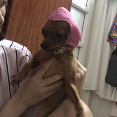 hhuyentrangg