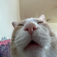 Kevin