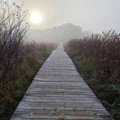 The Veil