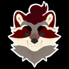 Rapidraccoon808