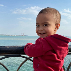 Rana Elhouseiny