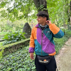 sinovass
