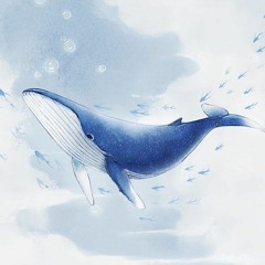 whale