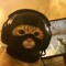 t_dawug
