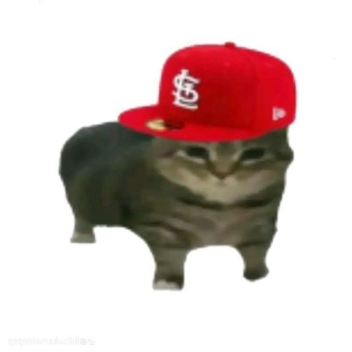 2204 lan a nho em roi(1)