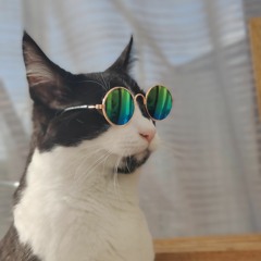 trashcat45