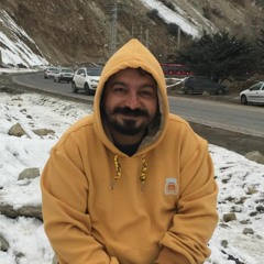 alireza akbari 13