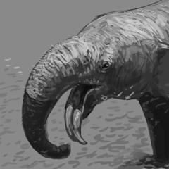 Venoxhis