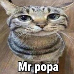 УгаBugha