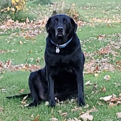 Dankest of Dank Jack