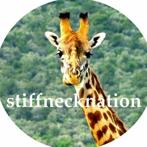 stiffnecknation’s avatar