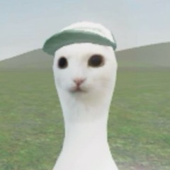 n0xarii