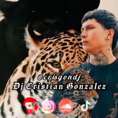 Dj Cristian Gonzalez   (crisgondj)