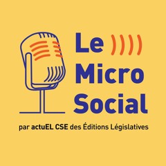 Le Micro Social