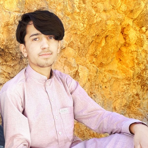 wali muhammad’s avatar