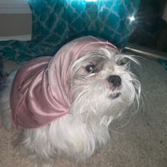 doggy durag kay