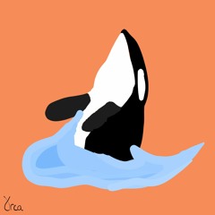 YUNG ORCA