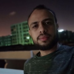 Ahmed Tag Eldin