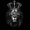 ahmed qassim