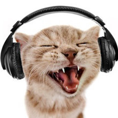 :33