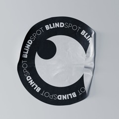 BLINDSPOT