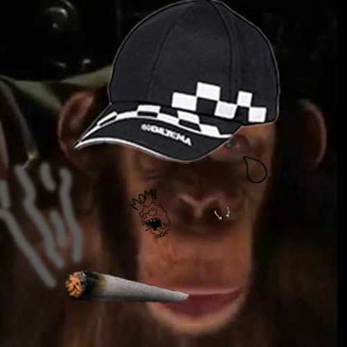 Dr Pimp Chimp’s avatar