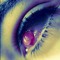 Naty