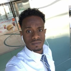 Abdulhameed F. Mirghani A.