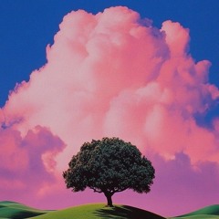 pl4n0kr4d
