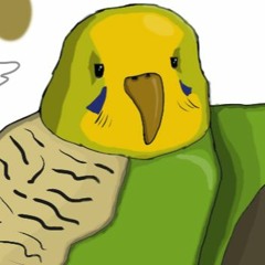 Schitzophrenian radio - pl 2