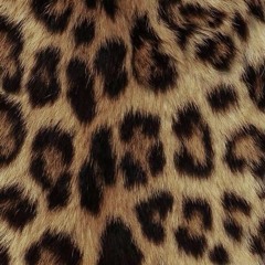NIKOWOODYEAR®