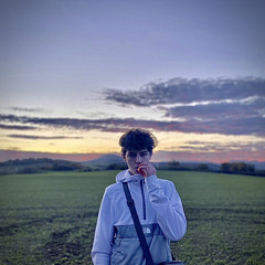 Willi_prt