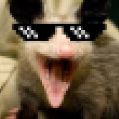 AwesomePossum78