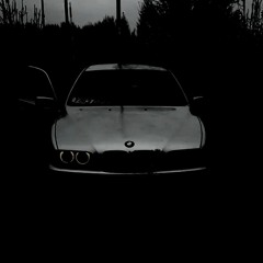Kristik 449