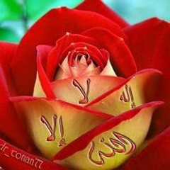 حسين ابوالغيط