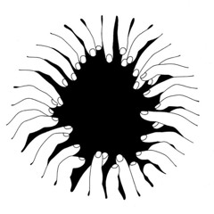 plexusvenosus