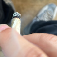 bl0ckbaby2x