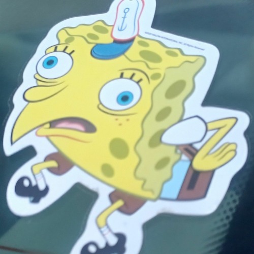 SpongeBob SquarePants’s avatar