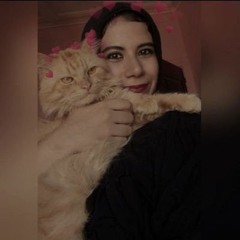 نور ✨
