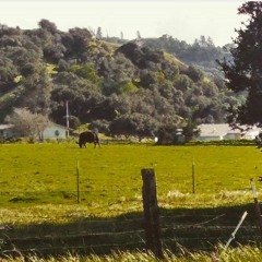 thehotairbaloonprotest