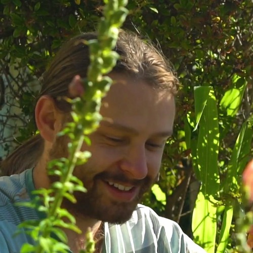 Witches' Hat (Incredible String Band)