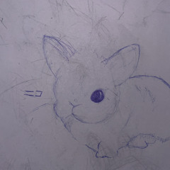 Niko