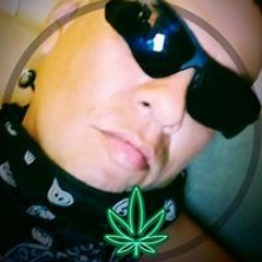 Cien Porciento Marihuano