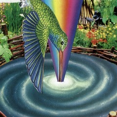 gretafly