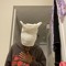 eli this my gmail on here make a new account ethan