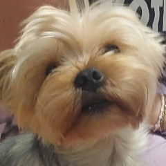 this is the ain't of me