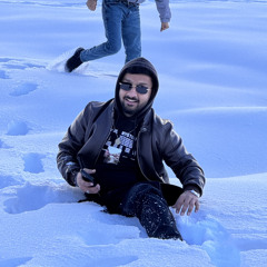 Muhammad Awais Bhutta