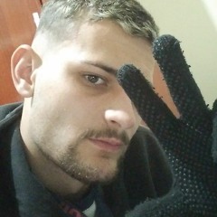 Vinicios M. Grezel